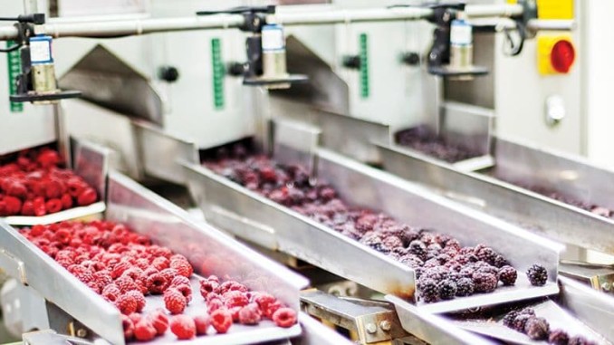 frozen food production